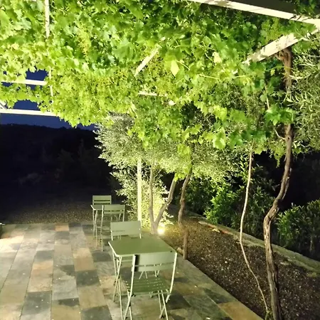 住宿加早餐酒店 Zagara