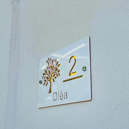 Zagara *